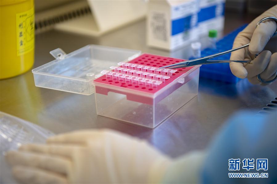 （一線(xiàn)抗疫群英譜&middot;圖文互動(dòng)）（4）&ldquo;90后&rdquo;檢驗(yàn)員張慧變：每個(gè)樣本都是一份沉甸甸的責(zé)任