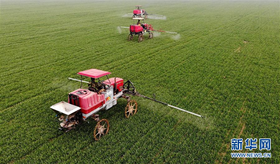 （新華全媒頭條·圖文互動）（3）春天，匯聚復(fù)蘇的力量——寫在2020年首季中國經(jīng)濟(jì)收官之際