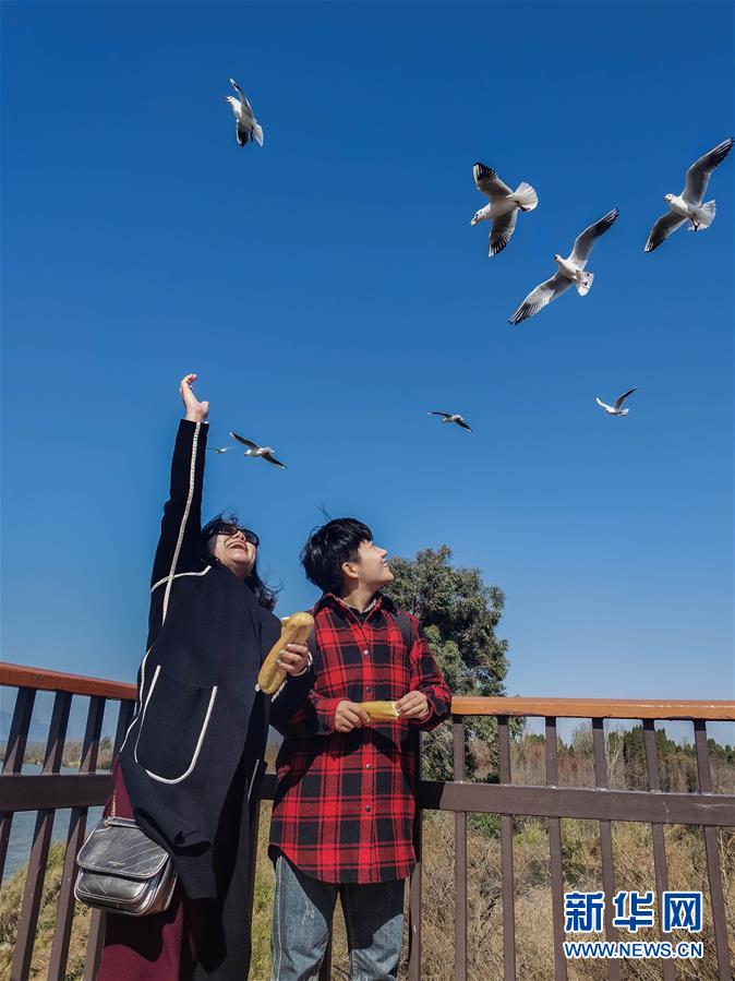 （一線抗疫群英譜·圖文互動）（1）大學(xué)生志愿者譚藝西：在武漢，我和媽媽共戰(zhàn)“疫”