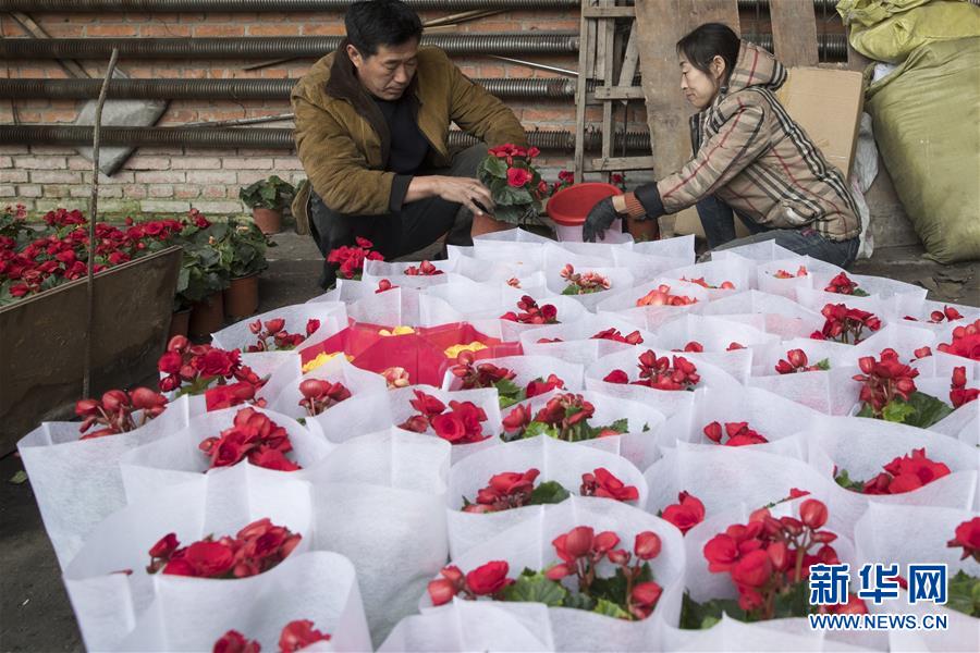 （在習(xí)近平新時(shí)代中國(guó)特色社會(huì)主義思想指引下——新時(shí)代新作為新篇章·習(xí)近平總書(shū)記關(guān)切事·圖文互動(dòng)）（1）希望的田野，希望的春天——各地農(nóng)業(yè)生產(chǎn)新動(dòng)態(tài)掃描