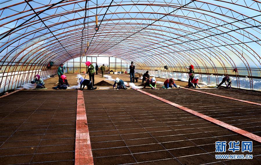 （在習(xí)近平新時(shí)代中國(guó)特色社會(huì)主義思想指引下——新時(shí)代新作為新篇章·習(xí)近平總書(shū)記關(guān)切事·圖文互動(dòng)）（5）希望的田野，希望的春天——各地農(nóng)業(yè)生產(chǎn)新動(dòng)態(tài)掃描