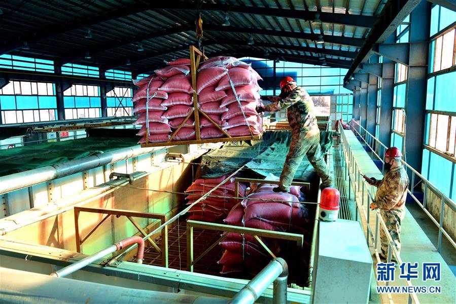 （在習(xí)近平新時(shí)代中國(guó)特色社會(huì)主義思想指引下——新時(shí)代新作為新篇章·習(xí)近平總書(shū)記關(guān)切事·圖文互動(dòng)）（6）希望的田野，希望的春天——各地農(nóng)業(yè)生產(chǎn)新動(dòng)態(tài)掃描