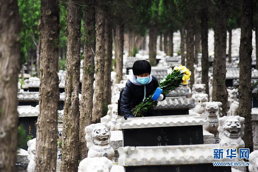 (社會(huì))(1)清明代祭寄哀思