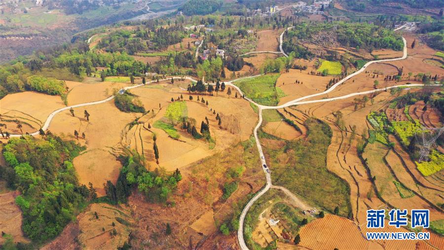 （決戰(zhàn)決勝脫貧攻堅&middot;圖文互動）（2）寄相思，償夙愿&mdash;&mdash;5封清明&ldquo;家書&rdquo;里的決戰(zhàn)決勝信念