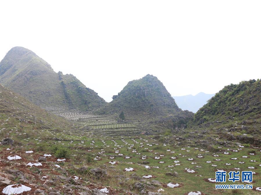 (決戰(zhàn)決勝脫貧攻堅·圖文互動)(4)逐項逐戶排查補齊脫貧攻堅“短板”——貴州晴隆縣扶貧一線工作見聞