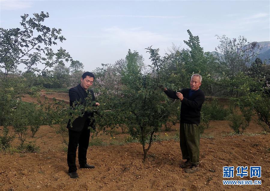 (新華全媒頭條·圖文互動(dòng))(6)春天里的5個(gè)“戰(zhàn)貧”瞬間——習(xí)近平總書記關(guān)于脫貧攻堅(jiān)決策部署指引攻克最后的深貧堡壘