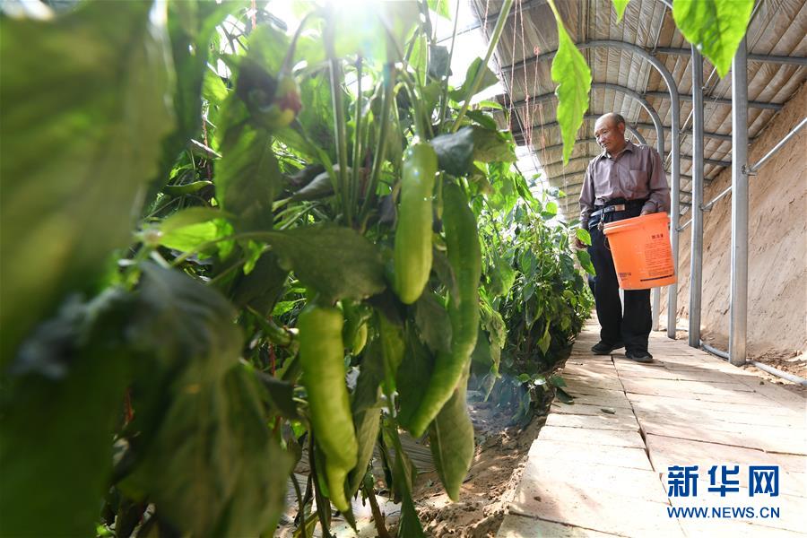 (新華全媒頭條·圖文互動(dòng))(15)春天里的5個(gè)“戰(zhàn)貧”瞬間——習(xí)近平總書記關(guān)于脫貧攻堅(jiān)決策部署指引攻克最后的深貧堡壘