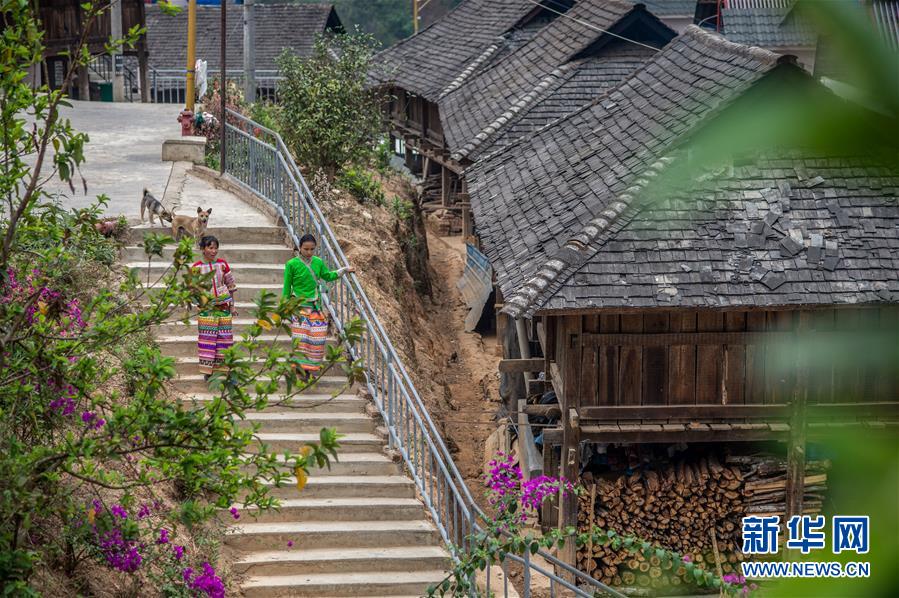 (決戰(zhàn)決勝脫貧攻堅(jiān)·圖文互動)(2)“孩子再也不用學(xué)打獵了”——拉祜族女獵手告別狩獵