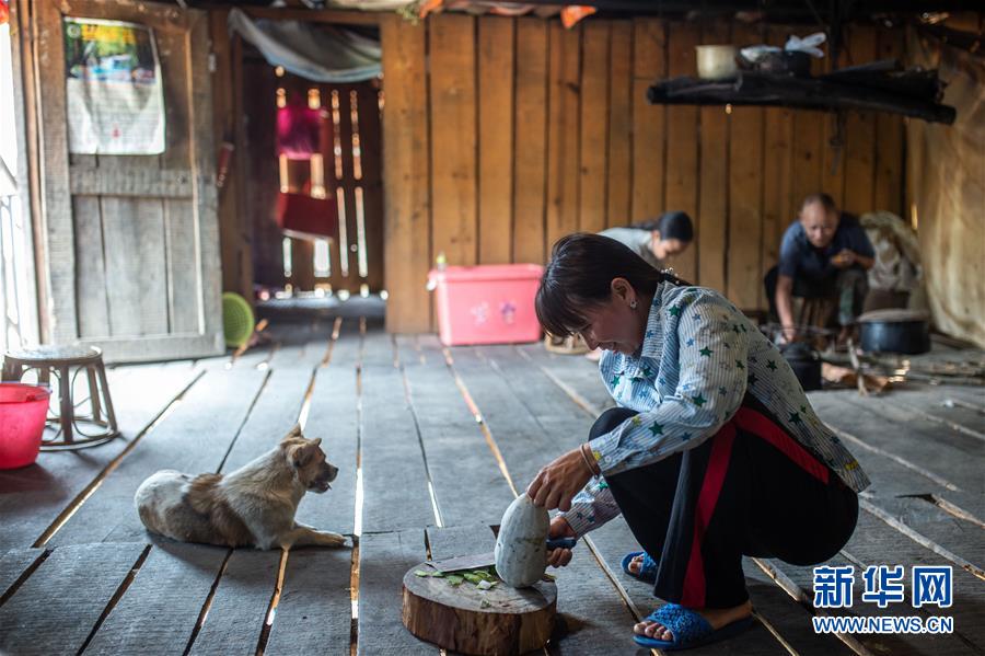 (決戰(zhàn)決勝脫貧攻堅(jiān)·圖文互動)(8)“孩子再也不用學(xué)打獵了”——拉祜族女獵手告別狩獵