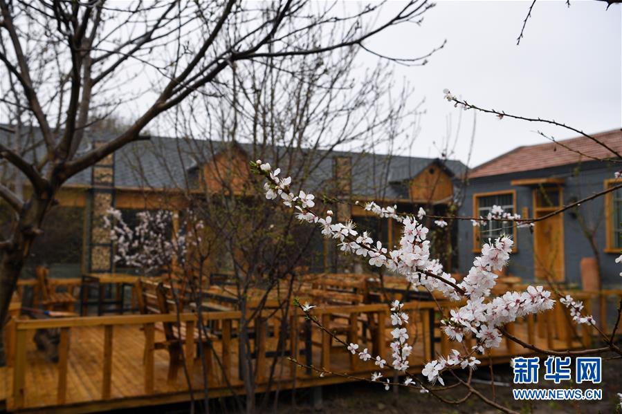 (圖文互動(dòng))(6)“疫”去客來會(huì)有時(shí)——新疆伊犁河谷旅游市場(chǎng)漸暖見聞