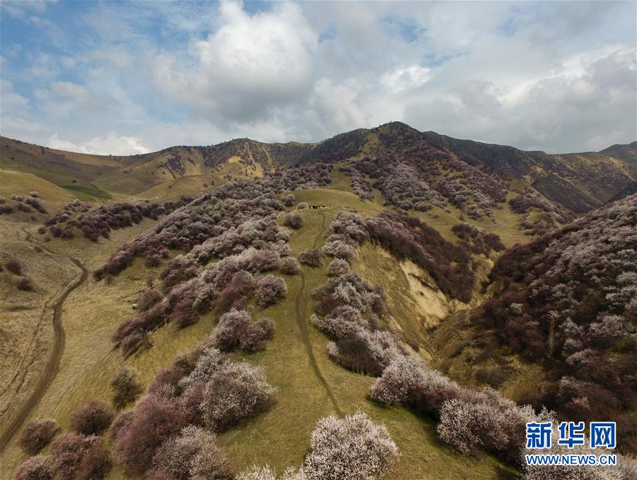 (圖文互動(dòng))(7)“疫”去客來會(huì)有時(shí)——新疆伊犁河谷旅游市場(chǎng)漸暖見聞