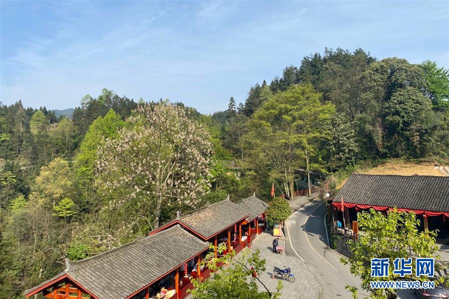 (決戰(zhàn)決勝脫貧攻堅(jiān)·圖文互動(dòng))(1)深山苗寨的別樣春天——疫情下的十八洞村見聞