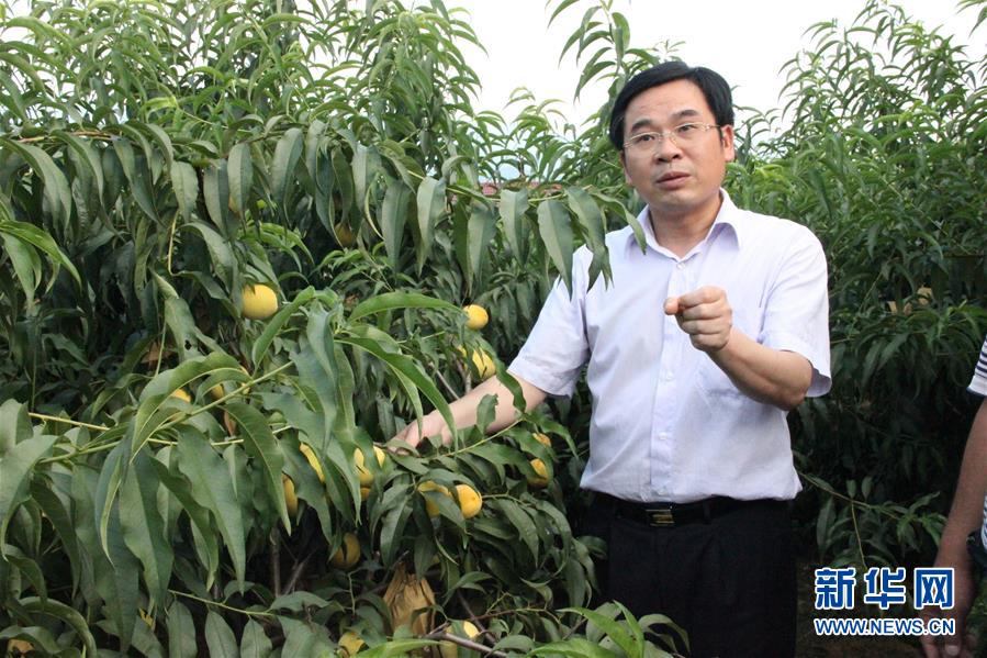 （圖文互動）（2）“為脫貧而來，為脫貧而去”——追記湖南炎陵縣委原書記黃詩燕 