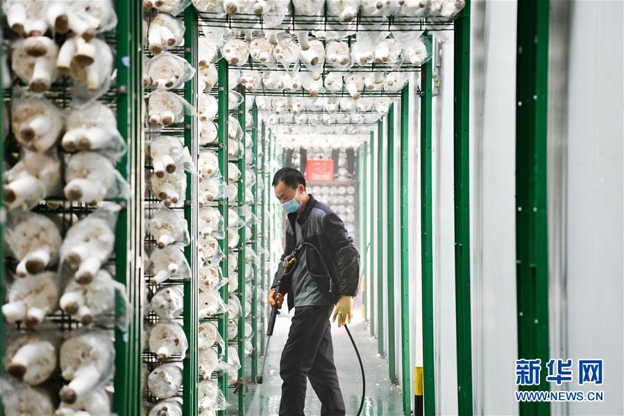 (決戰(zhàn)決勝脫貧攻堅·圖文互動)(3)補(bǔ)短板 促就業(yè) 穩(wěn)增收——貴州向脫貧“硬骨頭”發(fā)起總攻