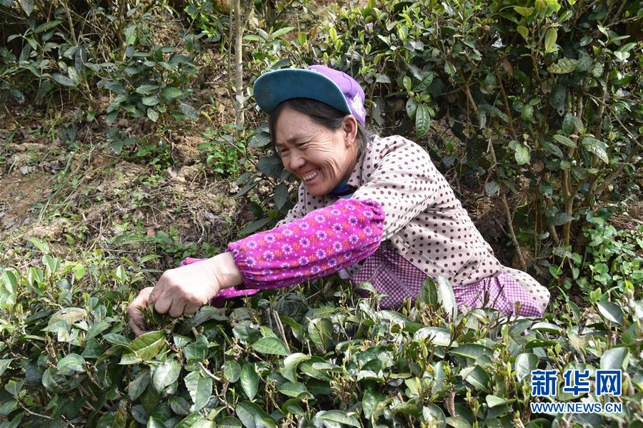 (圖片互動)(1)再訪貴州極貧鄉(xiāng)鎮(zhèn)看“四變”