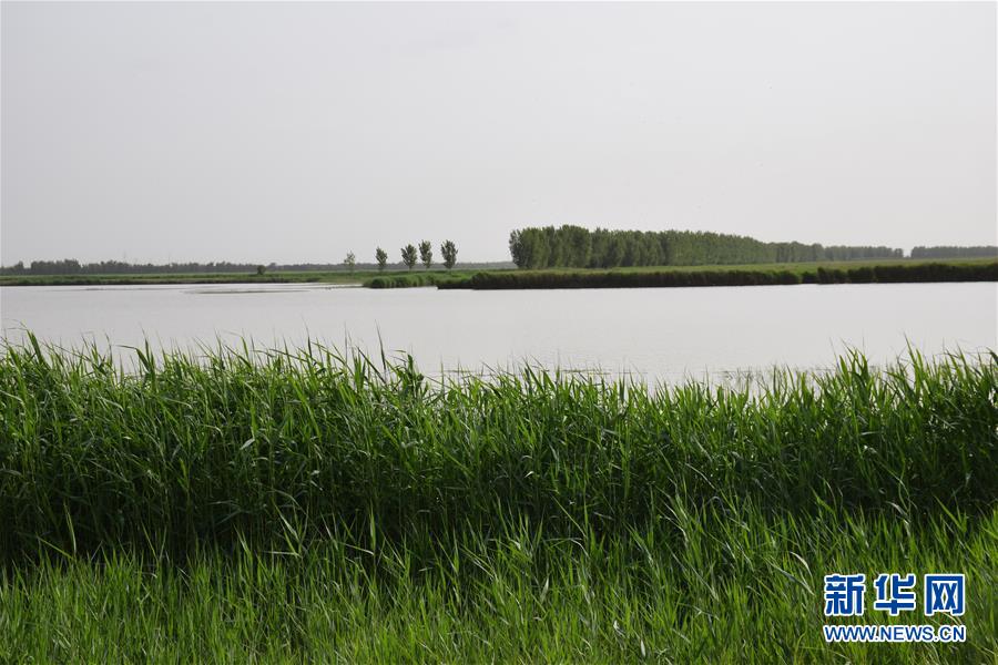 (圖文互動)(2)巡護員鏡頭下的“京津綠肺”變身記