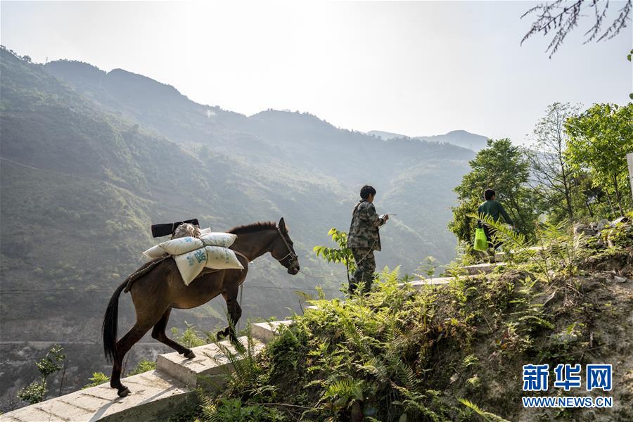 (脫貧攻堅)(12)托坪脫貧 五湖為家