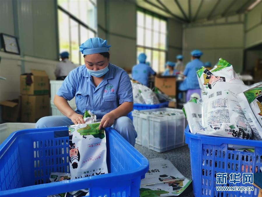 (決戰(zhàn)決勝脫貧攻堅(jiān)·圖文互動(dòng))(2)貴州思南:發(fā)展“紅薯經(jīng)濟(jì)”助脫貧