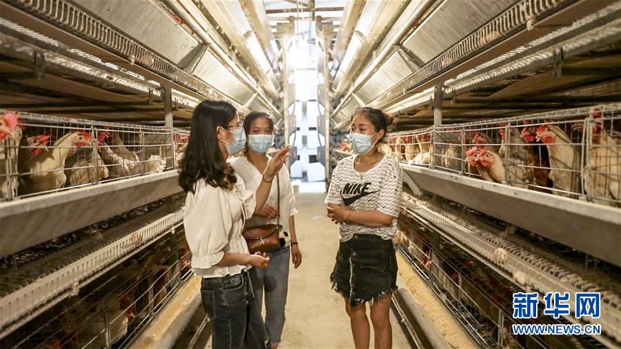 (新華全媒頭條·圖文互動)(4)基層天地廣闊 青春大有作為——聚焦“三支一扶”計(jì)劃實(shí)施十五年