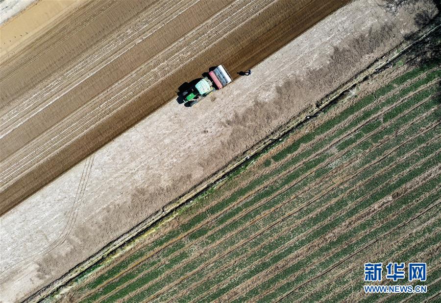 (新華全媒頭條·圖文互動(dòng))(11)中國(guó)北斗 服務(wù)全球——寫(xiě)在我國(guó)完成北斗全球衛(wèi)星導(dǎo)航系統(tǒng)星座部署之際