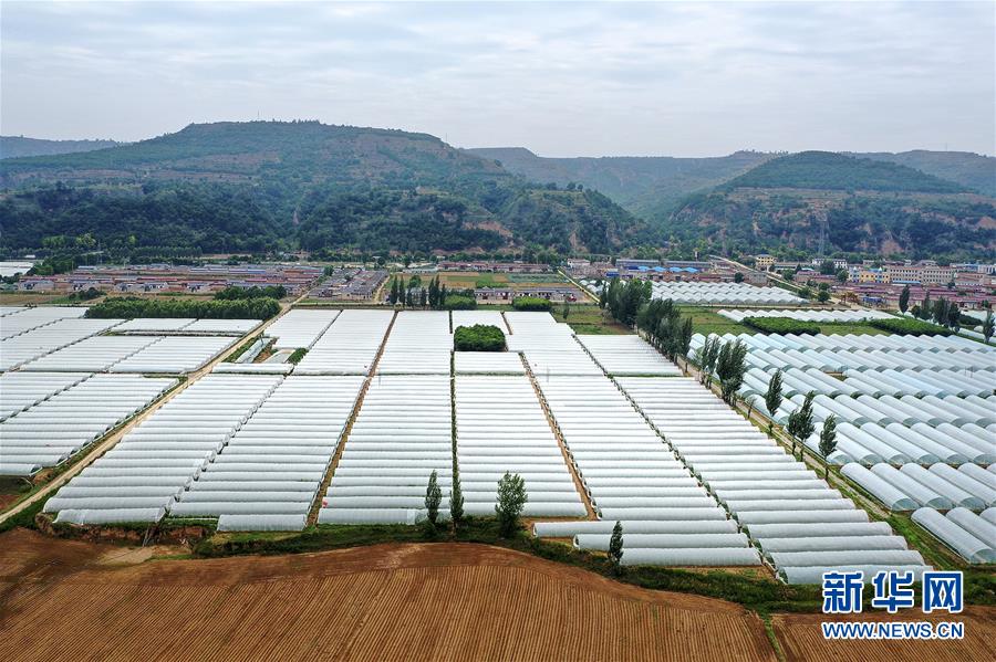 (決戰(zhàn)決勝脫貧攻堅·圖文互動)(3)魚漁兼授 志智雙扶——窮溝溝“菜富記”