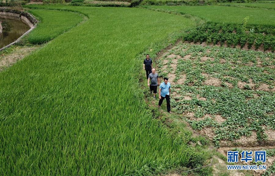（圖文互動）（6）湘南深山，堅守扶貧一線的黨員之家