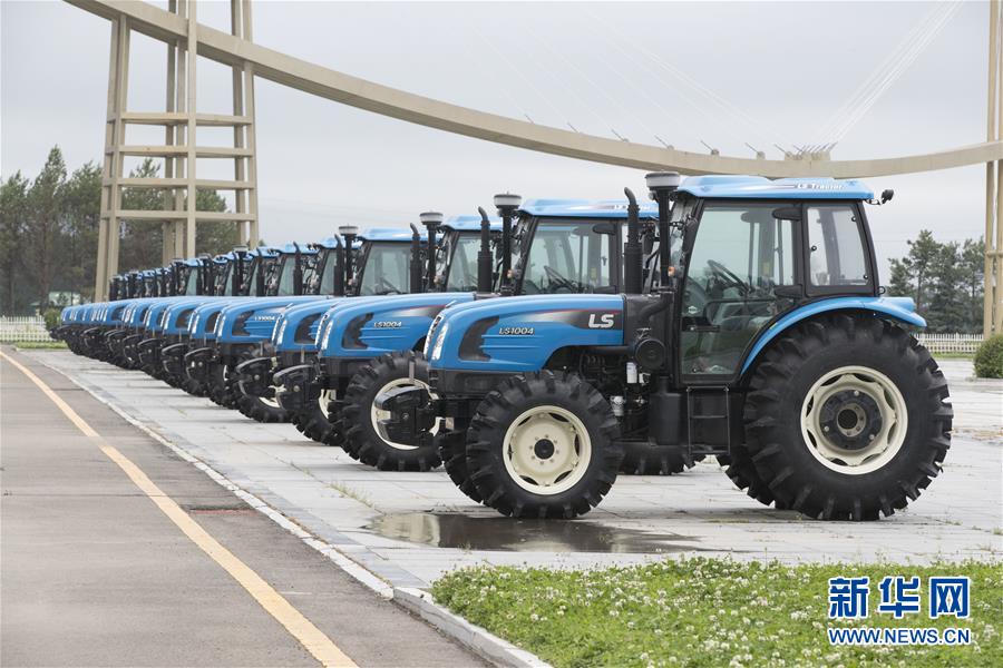 (走向我們的小康生活·圖文互動(dòng))(9)端牢“中國(guó)飯碗” 播種綠色小康