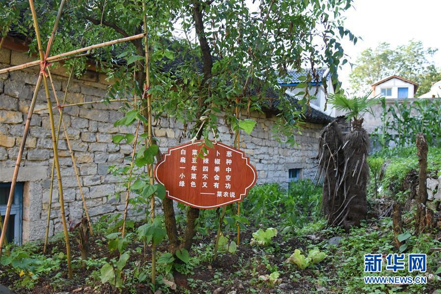 (鄉(xiāng)村振興·圖文互動)(6)海壩成“畫”