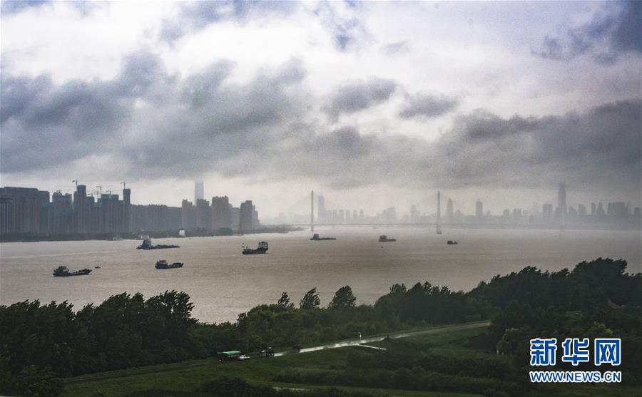 (防汛抗洪)(6)長江漢口站水位達到警戒水位