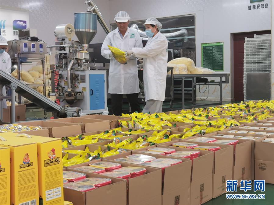 (決戰(zhàn)決勝脫貧攻堅·圖文互動)玉米“變形”記