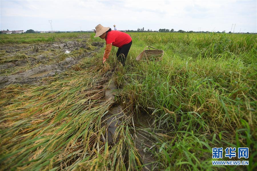 (新華全媒頭條·圖文互動(dòng))(13)為了人民群眾生命財(cái)產(chǎn)安全——聚焦關(guān)鍵時(shí)期全國(guó)防汛抗洪工作