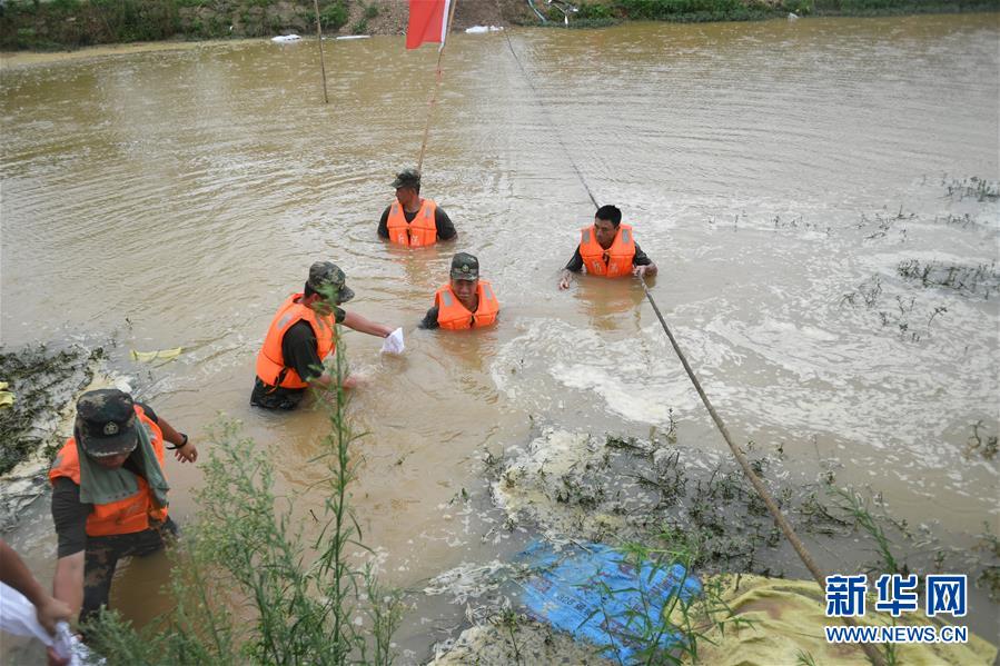 （防汛抗洪·圖文互動(dòng)）（1）“大堤上有了‘導(dǎo)彈綠’，我們老百姓安了心”