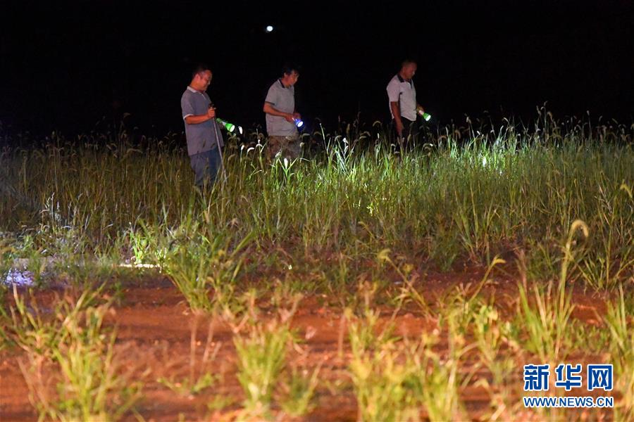 (防汛抗洪·圖文互動(dòng))(2)“保衛(wèi)家園,誰(shuí)都不能是旁觀者”——夜訪洞庭湖大堤防汛一線