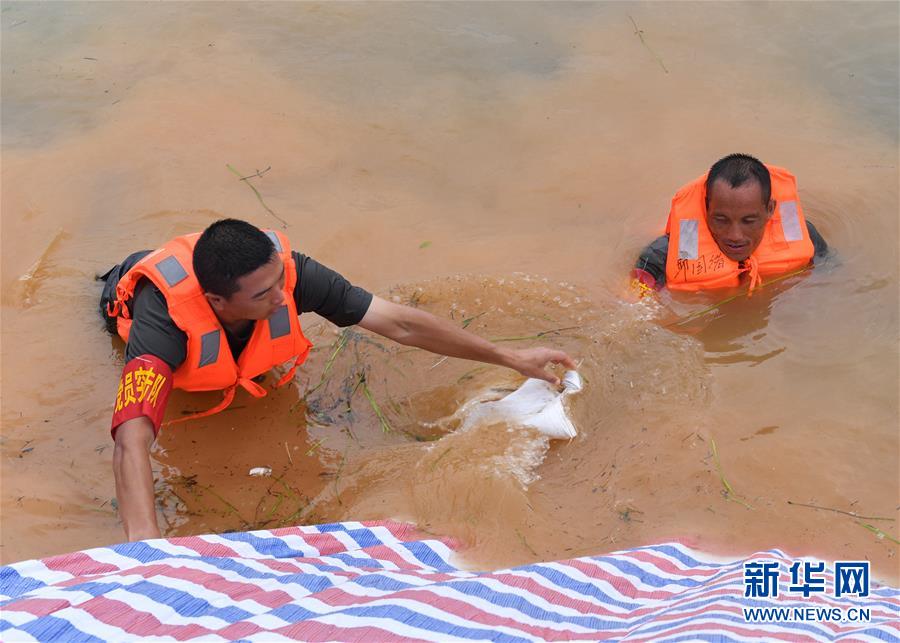 （防汛抗洪&middot;圖文互動(dòng)）（2）抗洪長(zhǎng)堤上的&ldquo;三件寶&rdquo;