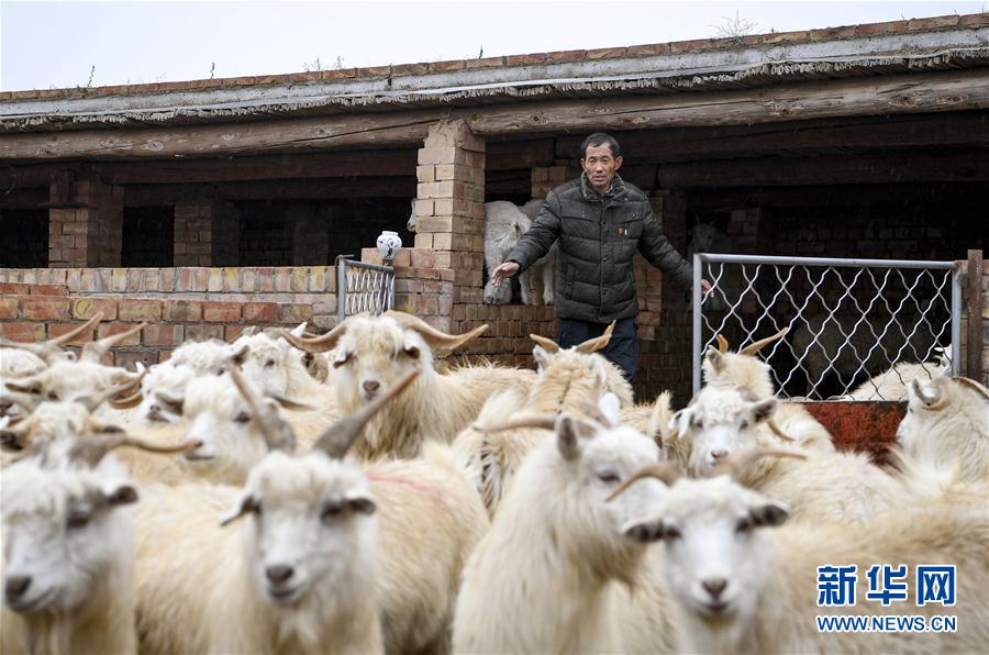 (走向我們的小康生活·圖文互動(dòng))(6)西海固換了新模樣