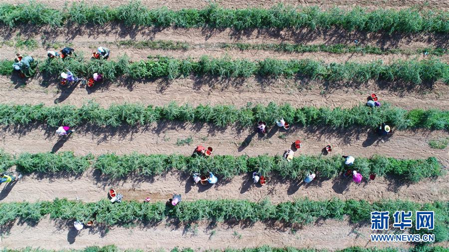 (走向我們的小康生活·圖文互動(dòng))(7)西海固換了新模樣