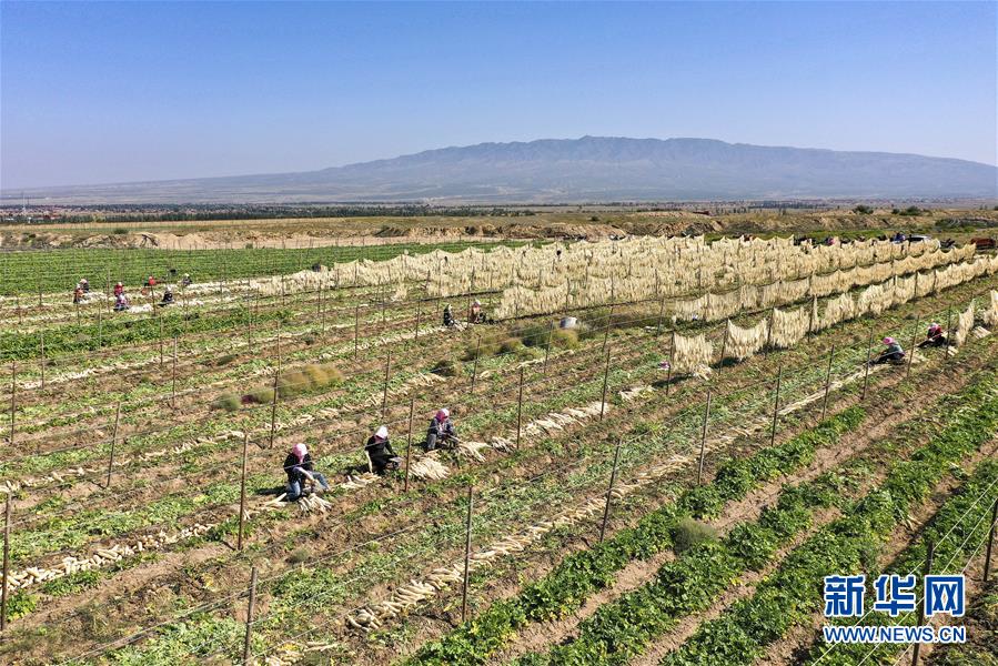 (新華全媒頭條·走向我們的小康生活·圖文互動(dòng))(8)23萬人的命運(yùn)轉(zhuǎn)折——我國最大易地生態(tài)移民安置區(qū)的脫貧密碼