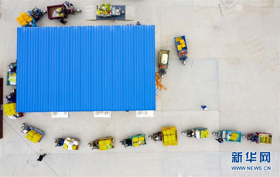 (新華全媒頭條·走向我們的小康生活·圖文互動(dòng))(10)23萬人的命運(yùn)轉(zhuǎn)折——我國最大易地生態(tài)移民安置區(qū)的脫貧密碼