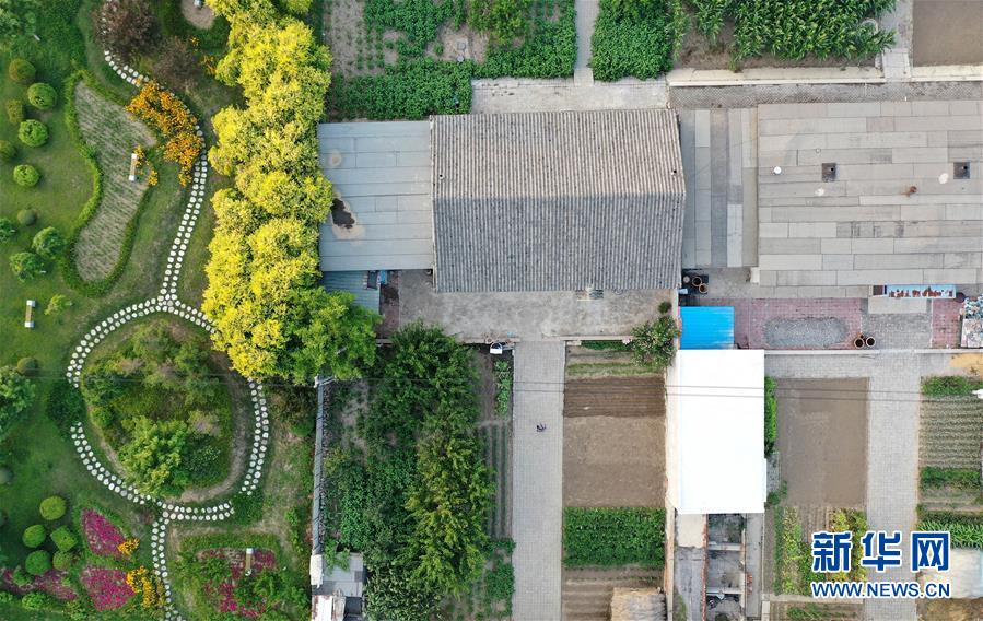 (新華全媒頭條·走向我們的小康生活·圖文互動(dòng))(1)“南大荒”變“稻蟹鄉(xiāng)”——資源枯竭型城市盤錦的鄉(xiāng)村振興之路