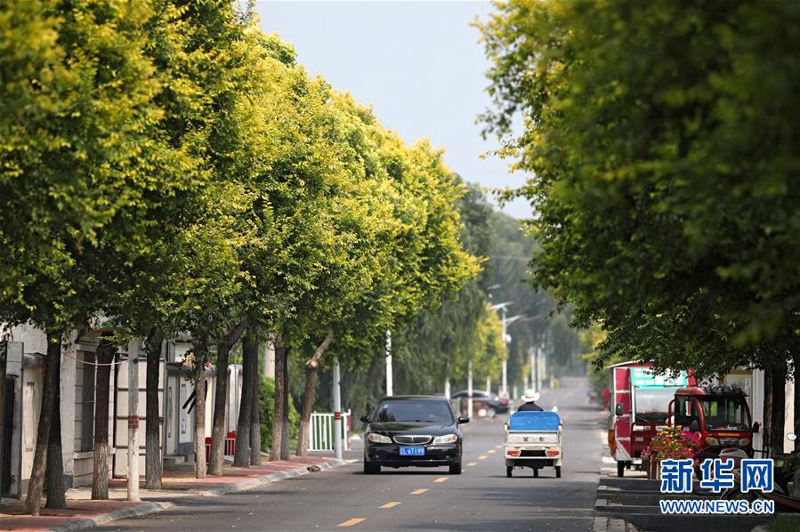 (新華全媒頭條·走向我們的小康生活·圖文互動(dòng))(3)“南大荒”變“稻蟹鄉(xiāng)”——資源枯竭型城市盤錦的鄉(xiāng)村振興之路