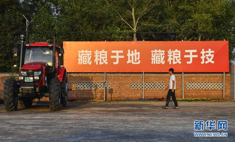 （在習近平新時代中國特色社會主義思想指引下——新時代新作為新篇章·習近平總書記關切事·圖文互動）（3）為黑土加“油”——“耕地中的大熊貓”，我們這樣保護