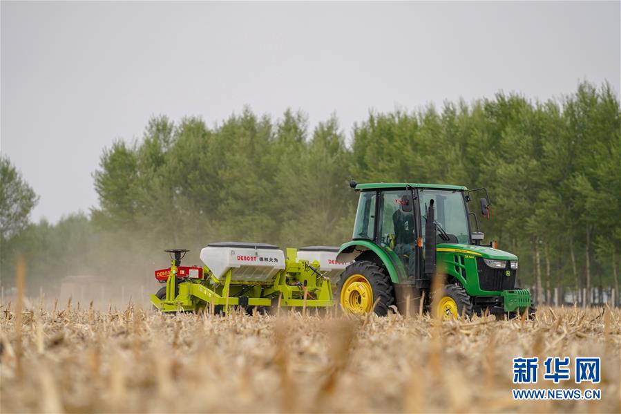（在習近平新時代中國特色社會主義思想指引下——新時代新作為新篇章·習近平總書記關切事·圖文互動）（7）為黑土加“油”——“耕地中的大熊貓”，我們這樣保護