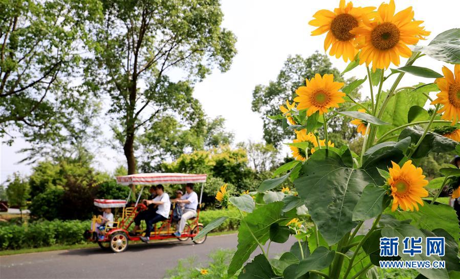 （新華全媒頭條·走向我們的小康生活·圖文互動(dòng)）（13）城市，讓人民生活更美好