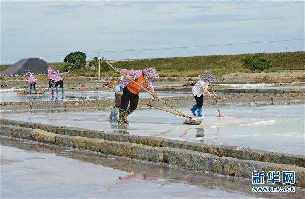 #(社會)(4)福建泉州:防御臺風 搶收原鹽