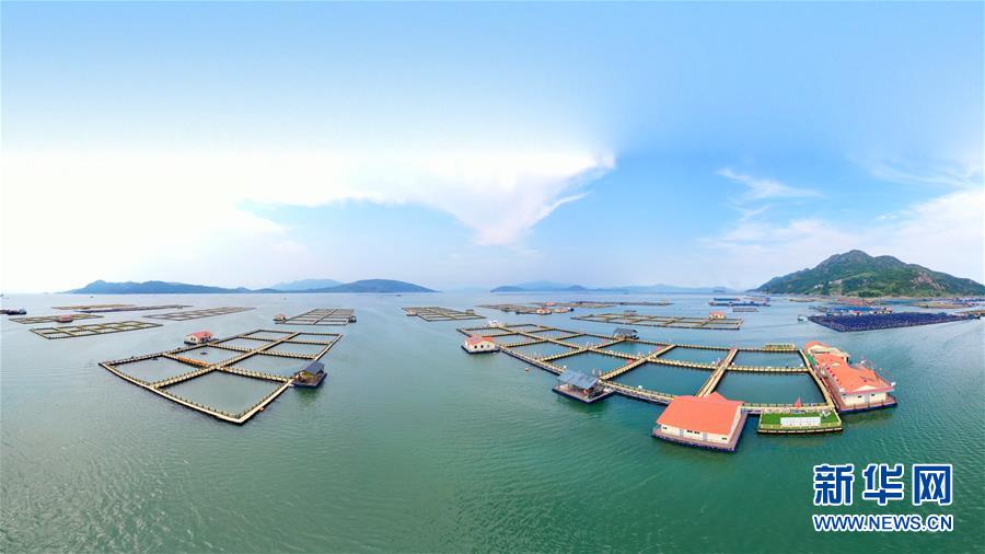 (新華全媒頭條·走向我們的小康生活·圖文互動(dòng))(3)弱鳥先飛今翱翔——閩東寧德振興啟示錄