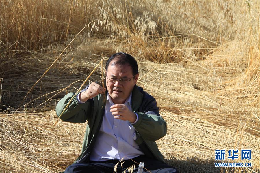 (新時代擔當作為典型·圖文互動)(1)草地生態(tài)專家趙新全:情深不舍三江源