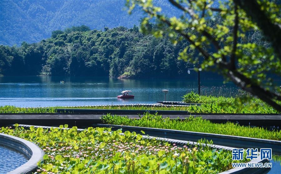 (新華全媒頭條·圖文互動)(8)生態(tài)文明之光照耀美麗中國——寫在綠水青山就是金山銀山理念提出15周年之際