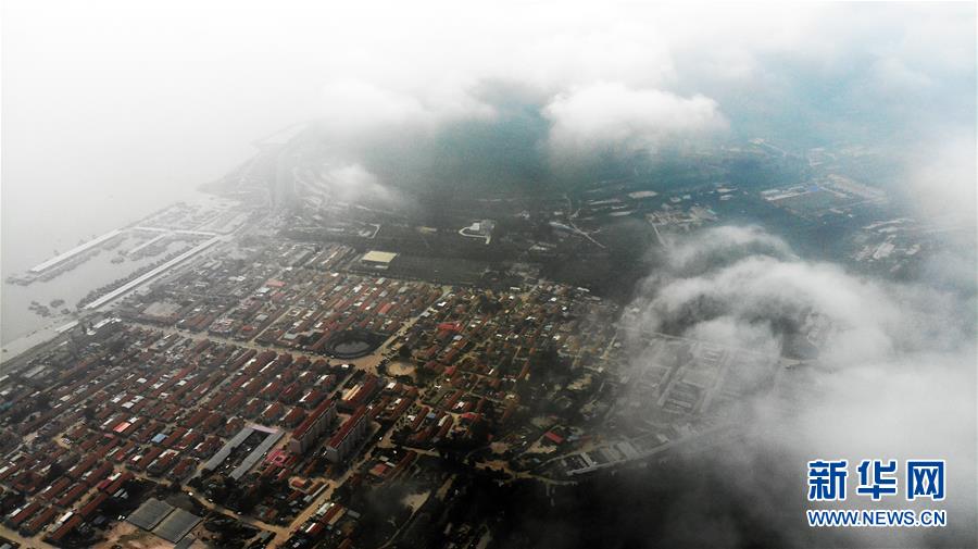 (走向我們的小康生活·圖文互動(dòng))(9)長(zhǎng)島漁民的扇貝喜事:從請(qǐng)客求人買到供不應(yīng)求