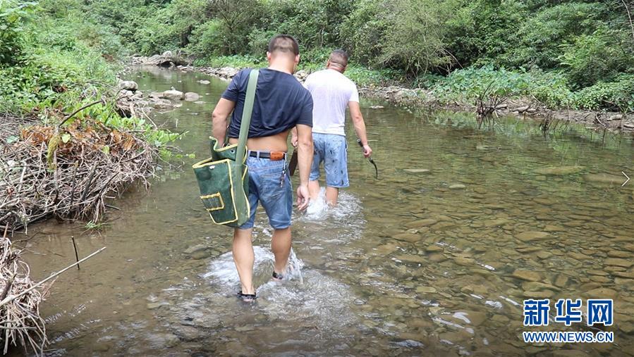 （高溫下的勞動者·圖文互動）（1）高溫襲來，他們用雙手守護(hù)貧困大山