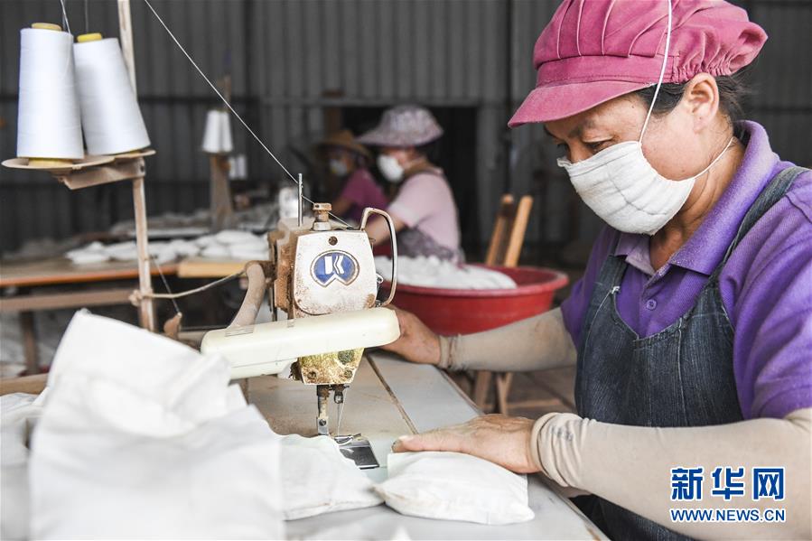 (新華全媒頭條·走向我們的小康生活·圖文互動(dòng))(9)“靠山吃山”的新路徑——探尋大瑤山的“幸福密碼”